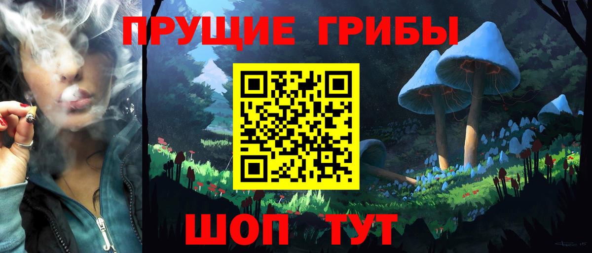 Элиста  Галлюциногенные грибы мицелий  Вход с VPN  Галлюциногенные грибы прущие грибы 