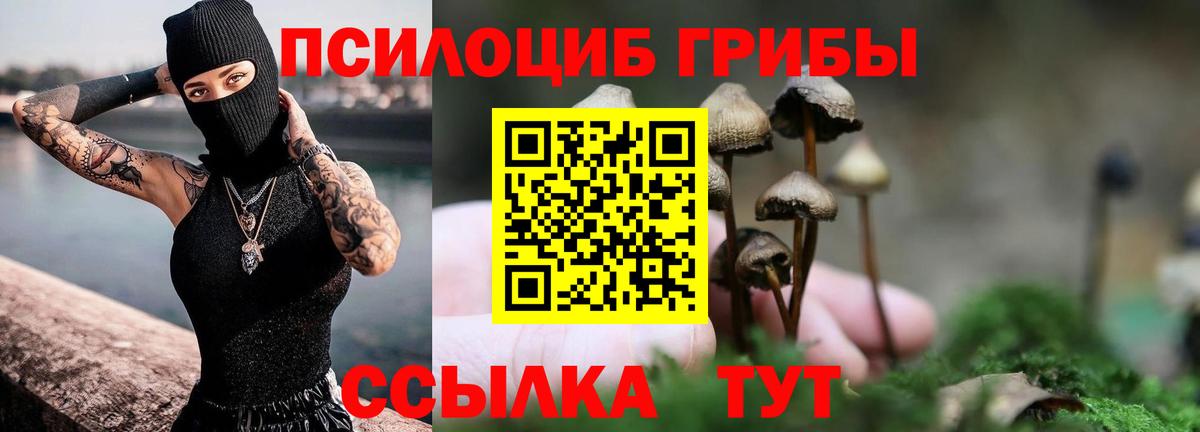 Галлюциногенные грибы ЛСД Элиста